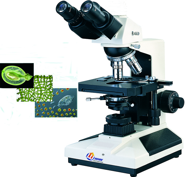 BI-21正置生物显微镜