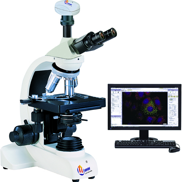 BIAS-714正置生物显微镜