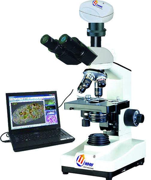 BIAS-715正置生物显微镜