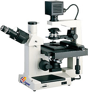 XSD-200正置生物显微镜