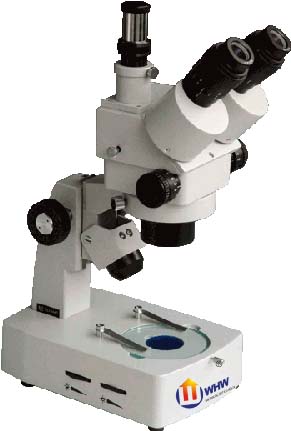 XTZ-E三目体视显微镜