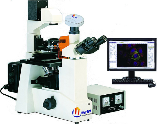 FBAS-100倒置荧光显微镜