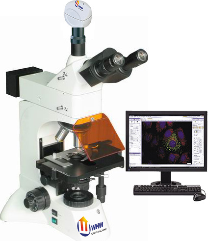 FBAS-500三目荧光显微镜