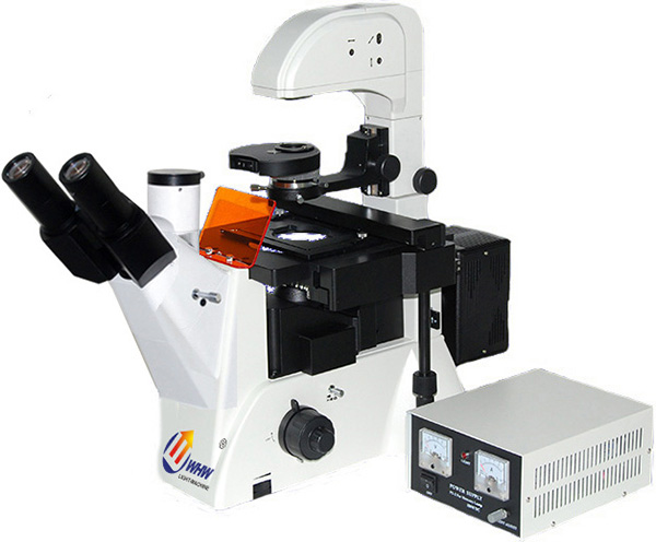 FM-200三目荧光显微镜