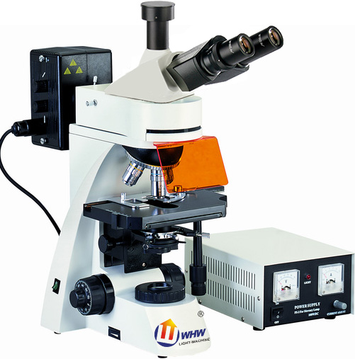 FM-400正置荧光显微镜