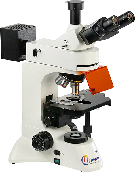 FM-600三目荧光显微镜
